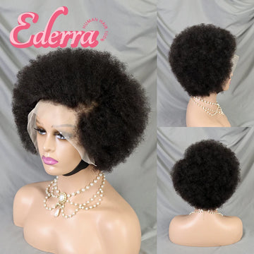 Afro Kinky Curly Lace Front Wig